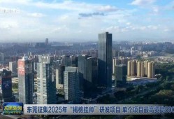 东莞楼市爆料新闻,揭秘最新房价走势与热门项目曝光