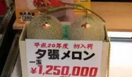 娱乐吃瓜项目有哪些,盘点热门吃瓜项目，带你领略幕后风云